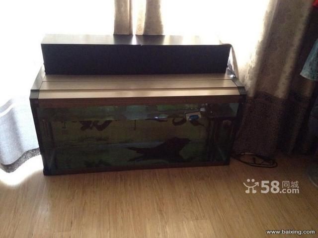 1米2魚缸12個厚需要拉筋嗎：1米2魚缸12個厚需要拉筋嗎1米2魚缸12個厚需要拉筋嗎
