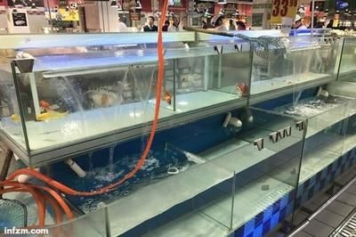 超市賣淡水魚專用魚缸多少錢：關(guān)于超市賣淡水魚專用魚缸的價格和購買地點北京超市魚缸價格