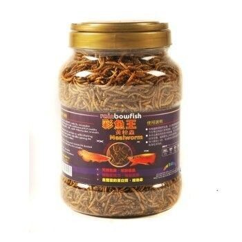 龍魚(yú)飼料品牌排名第一名是什么品種