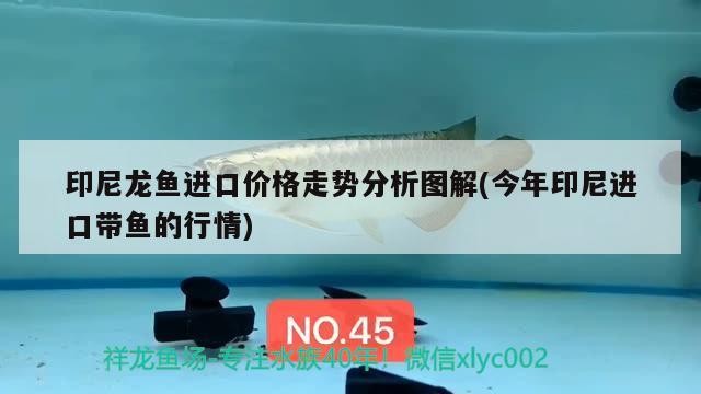 朝陽金華園旅游觀光示范園管理有限公司（朝陽金華園國際酒店）