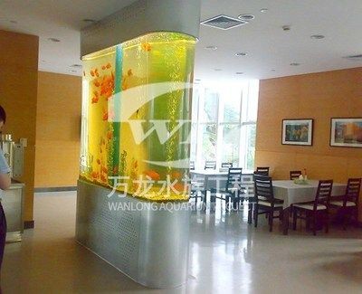龍魚缸換水注意什么，如何判斷龍魚適應新水,龍魚缸過濾系統維護要點