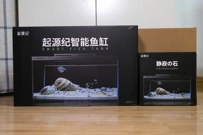 包裝一個(gè)魚(yú)缸大概需要多少錢(qián)：包裝一個(gè)魚(yú)缸的具體費(fèi)用需要根據(jù)實(shí)際情況來(lái)確定