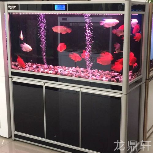 定做的魚缸和買的魚缸有什么不同：定做的魚缸和買的魚缸各有優缺點