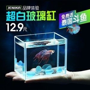 超白魚缸哪個牌子的好用：超白魚缸品牌推薦