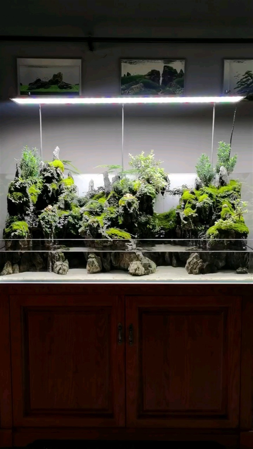 1.2米水陸景觀，濟南走起，留念
