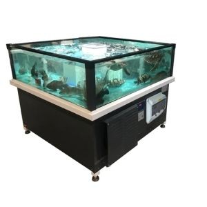 超市水產魚缸底部鋪的是什么東西：超市水產魚缸底部鋪設材料及其優缺點