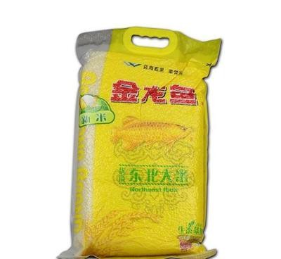 紅龍魚陽光照好還是燈光照好（紅龍魚陽光照好還是燈光照好呢）