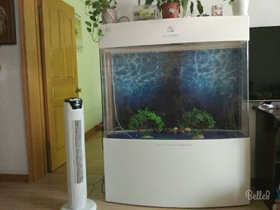 帶氧氣的魚缸多少錢：帶氧氣的魚缸價格