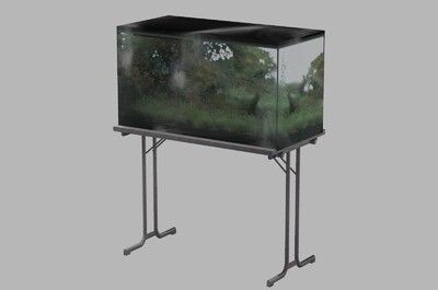 大魚缸金魚養幾條好：關于金魚養護的幾個問題