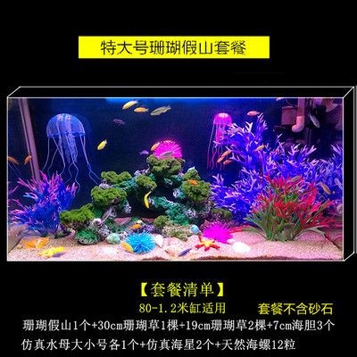 多大的魚缸可以群游：如何選擇適合的魚缸群游？