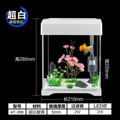 玻璃魚缸過濾器什么做的好：如何選擇玻璃魚缸過濾器