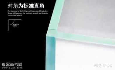 大型魚缸玻璃是怎么拼接：大型魚缸玻璃拼接工具和技巧介紹魚缸玻璃拼接的注意事項