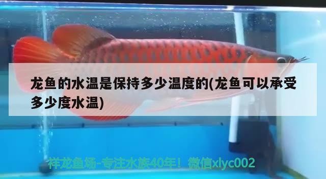 錦江區(qū)鴻福水族工作室（錦江區(qū)鴻福水族工作室地址）