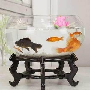 白水晶放魚缸太重：白水晶在養魚中的作用