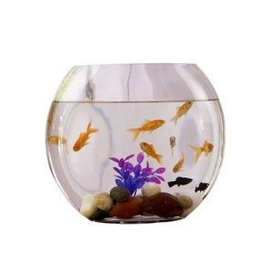 白水晶放魚缸太重：白水晶在養魚中的作用
