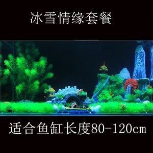 冰雪奇緣魚缸造景圖：“冰雪奇緣”魚缸造景的基本步驟和要點和要點和要點