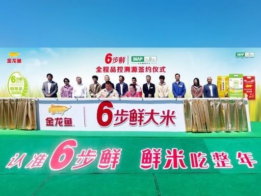 紅龍魚多少錢一只圖片及價格表視頻（紅龍魚多少錢一只圖片及價格表視頻大全）