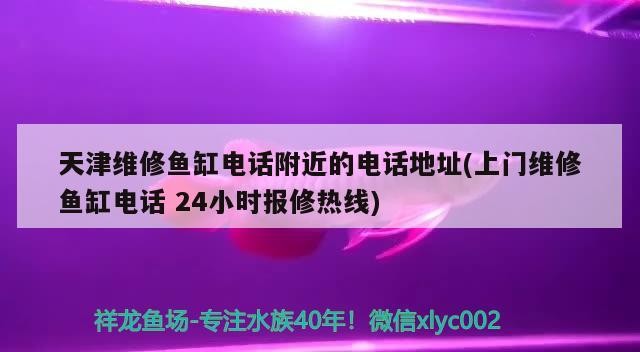 天津維修魚缸電話附近的電話地址(上門維修魚缸電話24小時報修熱線)