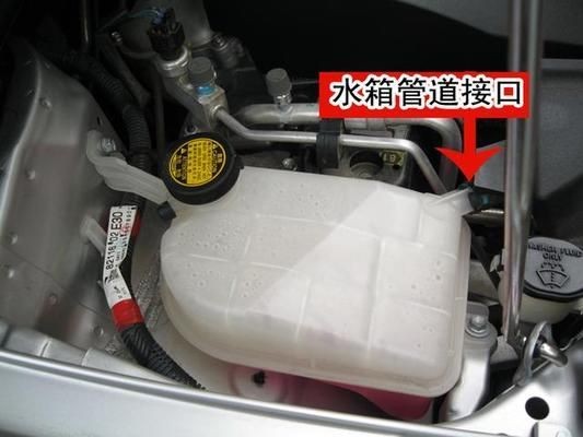 大魚缸滲水怎么補(bǔ)漏,用補(bǔ)漏劑有用嗎視頻 大魚缸滲水怎么補(bǔ)漏,用補(bǔ)漏劑有用嗎視頻 魚缸百科 第4張
