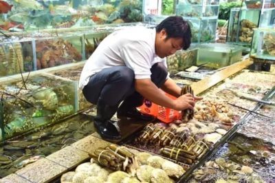 大魚(yú)缸哪里買好用：大型魚(yú)缸的養(yǎng)護(hù)技巧