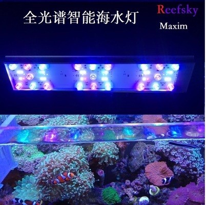 鶴山市沙坪鎮漪河水族店（鶴山市沙坪鎮漪河水族店電話） 鶴山市沙坪鎮漪河水族店（鶴山市沙坪鎮漪河水族店電話） 全國水族館企業名錄 第1張