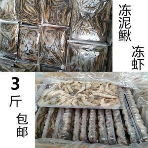 龍魚吃了冰凍的蝦 會生病嗎？魚食用冰凍蝦后