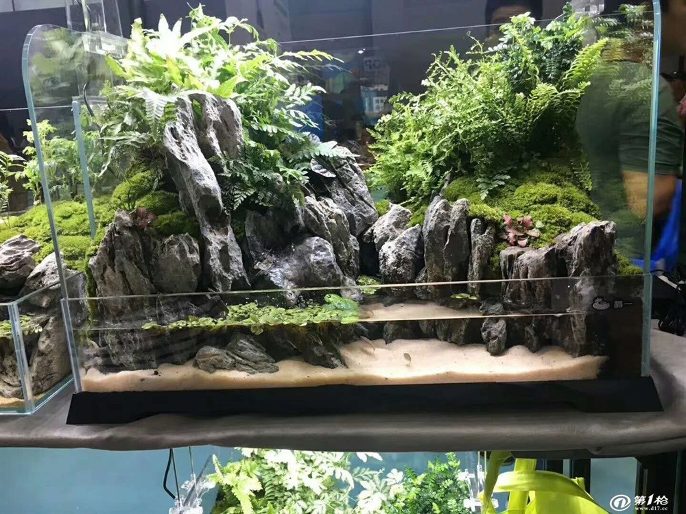 斗魚缸造景用什么底沙好看又實惠：斗魚缸造景底沙的選擇，魚缸造景，探索經濟實惠又美觀