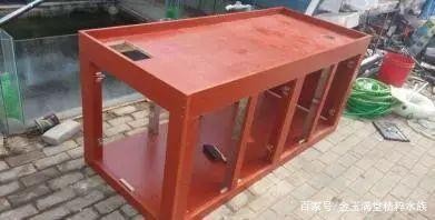 紅龍魚對燈光要求多少（紅龍魚對燈光要求多少）龍魚的燈光需求解析，探索適宜