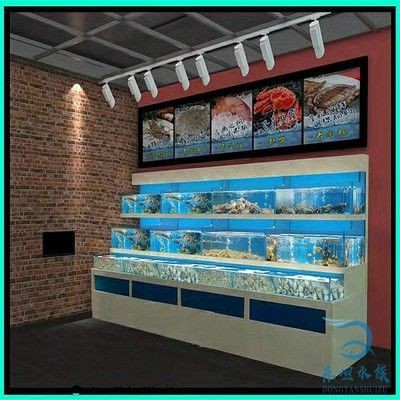 側濾魚缸過濾效果好嗎知乎，濾魚缸過濾效果顯著，知乎用戶深度