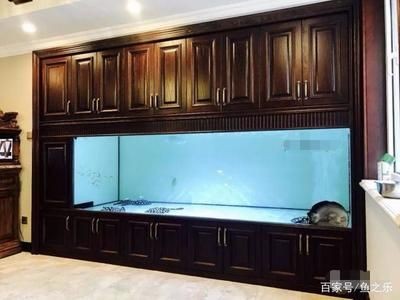 側濾魚缸過濾效果好嗎知乎，濾魚缸過濾效果顯著，知乎用戶深度