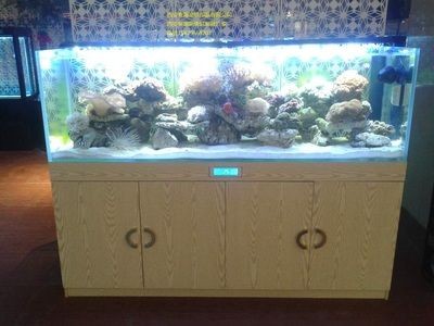 大瀝哪里有魚缸買賣的地方:佛山南海區大瀝鎮大瀝鎮大瀝鎮大瀝鎮魚缸買賣服務,南海大瀝鎮,專業魚缸買賣服務,滿足您的水產養殖 魚缸百科 第1張 大瀝哪里有魚缸買賣的地方:佛山南海區大瀝鎮大瀝鎮大瀝鎮大瀝鎮魚缸買賣服務,南海大瀝鎮,專業魚缸買賣服務,滿足您的水產養殖 大瀝哪里有魚缸買賣的地方:佛山南海區大瀝鎮大瀝鎮大瀝鎮大瀝鎮魚缸買賣服務,南海大瀝鎮,專業魚缸買賣服務,滿足您的水產養殖 魚缸百科 第1張