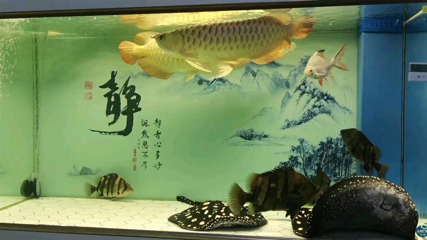打卡，探索打卡文化，現代社交互動的流行