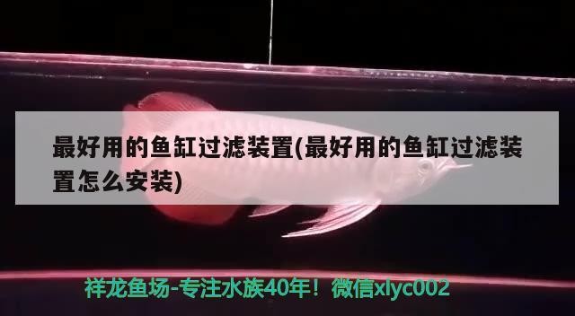 印尼虎魚圖片：印尼虎魚吧 百度貼吧，虎魚，探索神秘的海洋生物——百度貼吧中的印尼虎魚