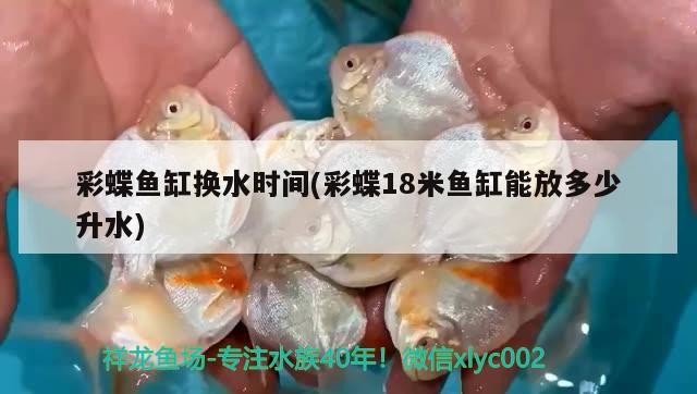 印尼虎魚圖片：印尼虎魚吧 百度貼吧，虎魚，探索神秘的海洋生物——百度貼吧中的印尼虎魚