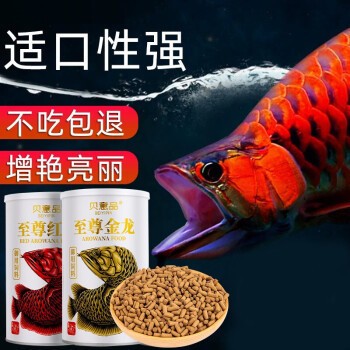 紅龍魚最貴的一條多少錢一斤（紅龍魚最貴的一條多少錢一斤啊）龍魚價格揭秘，最貴一條多少錢