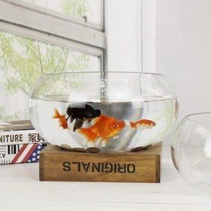 白水晶放魚缸好嗎:白水晶在水中放置時間過長可能會附著污垢或影響其美觀性,水晶放魚缸的利弊,探討長時間放置對水晶美觀性的影響 魚缸百科 第1張 白水晶放魚缸好嗎:白水晶在水中放置時間過長可能會附著污垢或影響其美觀性,水晶放魚缸的利弊,探討長時間放置對水晶美觀性的影響 白水晶放魚缸好嗎:白水晶在水中放置時間過長可能會附著污垢或影響其美觀性,水晶放魚缸的利弊,探討長時間放置對水晶美觀性的影響 魚缸百科 第1張