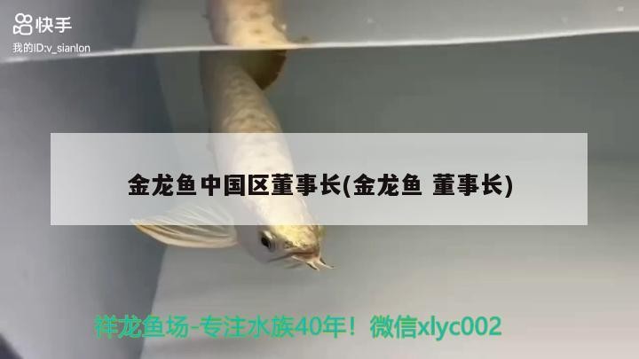 金龍魚中國區(qū)董事長(金龍魚董事長)龍魚中國區(qū)董事長，引領(lǐng)企業(yè)走向