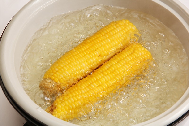 虎魚誤吃了硬飼料，魚意外吞下硬飼料，生態與