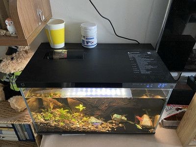 路小雅魚缸，路小雅魚缸品牌口碑對比“路小雅魚缸”口碑對比，小雅魚缸品牌口碑大比拼，消費(fèi)者評價與市場表現(xiàn)對比