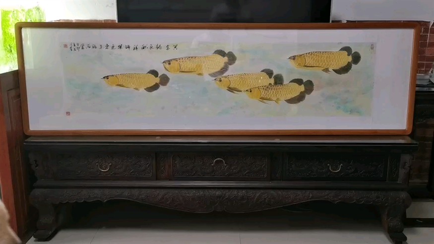 龍魚(yú)，魚(yú)，神秘而優(yōu)雅的水族箱生物 龍魚(yú)，魚(yú)，神秘而優(yōu)雅的水族箱生物 龍魚(yú)論壇 第1張