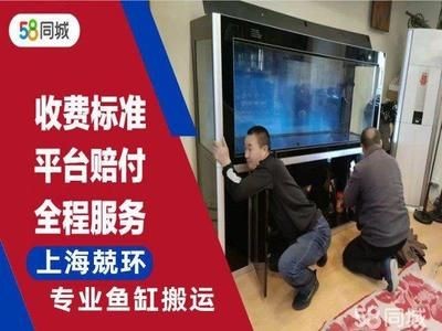 搬家公司搬運魚缸多少錢一天：搬家公司搬運魚缸的費用是多少？公司搬運魚缸費用詳解，一天多少錢？