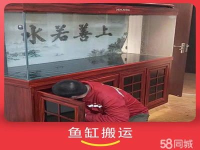 搬家公司搬運魚缸多少錢一天：搬家公司搬運魚缸的費用是多少？公司搬運魚缸費用詳解，一天多少錢？