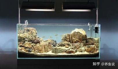 超白魚缸和浮法魚缸哪個好用：如何選購超白魚缸？白魚缸與浮法魚缸的選購指南，比較兩者的優缺點