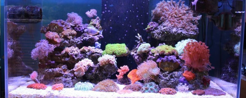 融安縣小魚兒水族館（融安縣小魚兒水族館電話）安縣小魚兒水族館，探索水下世界，體驗(yàn)自然奇