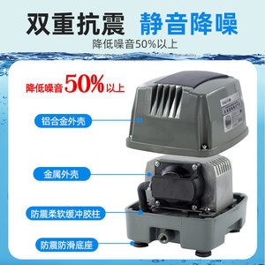 紅龍魚魚苗多少錢一條啊（紅龍魚魚苗多少錢一條啊圖片）龍魚苗價格及圖片展示，探索養殖新寵的入門