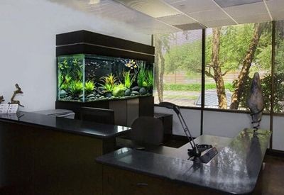 辦公室魚缸擺放位置風水講究:辦公室魚缸擺放位置風水有講究,室魚缸擺放風水指南,提升工作效率與和諧 魚缸百科 第4張 辦公室魚缸擺放位置風水講究:辦公室魚缸擺放位置風水有講究,室魚缸擺放風水指南,提升工作效率與和諧 辦公室魚缸擺放位置風水講究:辦公室魚缸擺放位置風水有講究,室魚缸擺放風水指南,提升工作效率與和諧 魚缸百科 第4張