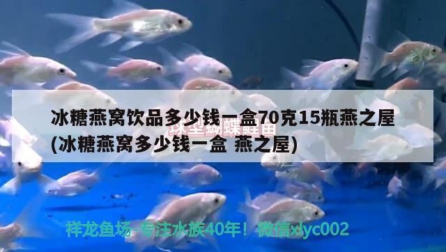 虎魚蒙眼泡藥死亡，魚蒙眼泡藥后不幸死亡，探究養(yǎng)殖