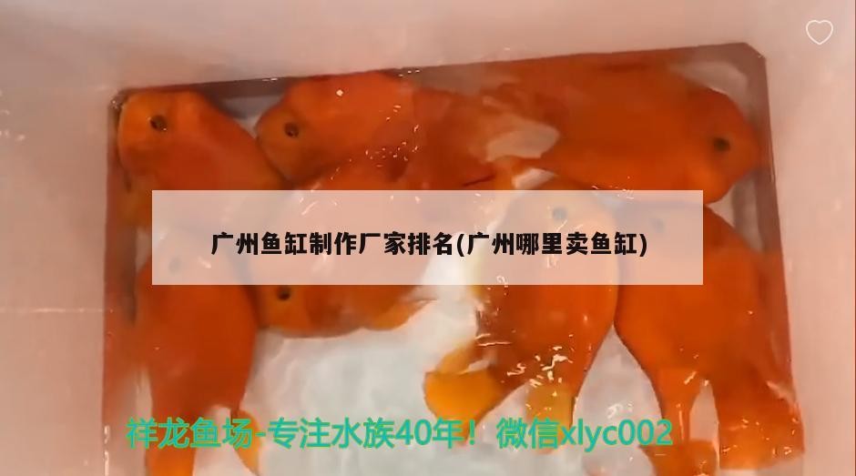 廣州魚缸制作廠家排名(廣州哪里賣魚缸)魚缸制作廠家排名揭曉，哪里能買到優質的