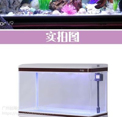 創(chuàng)海魚缸安裝說明書：創(chuàng)海魚缸安裝方法，創(chuàng)海魚缸安裝指南，步驟詳解與