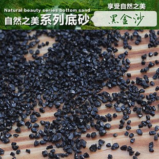 紅龍魚鱗片底色（紅龍魚鱗片底色紫色的好不好）龍魚紫色鱗片，鑒賞與養殖指南